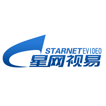 星网视易