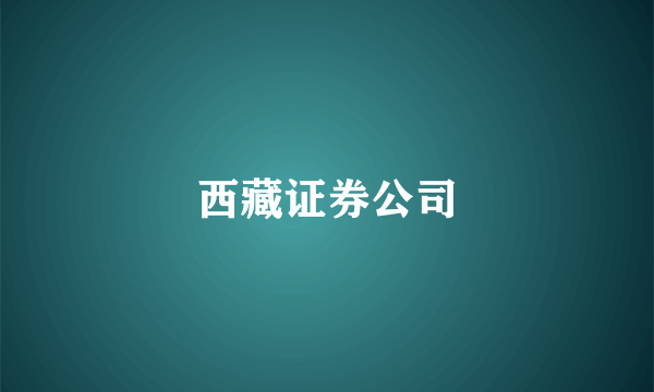 西藏证券公司