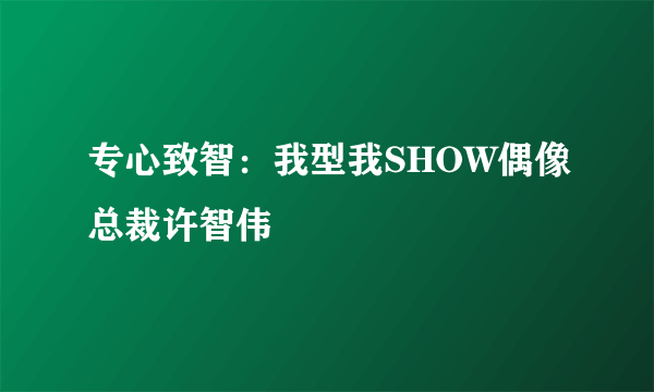 专心致智：我型我SHOW偶像总裁许智伟