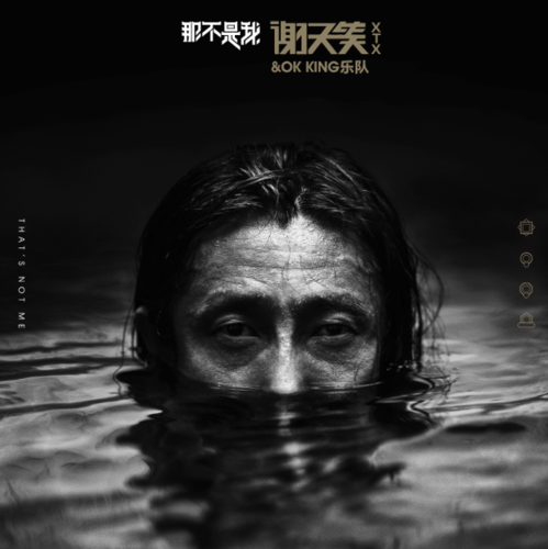 蚂蚁（谢天笑演唱歌曲）