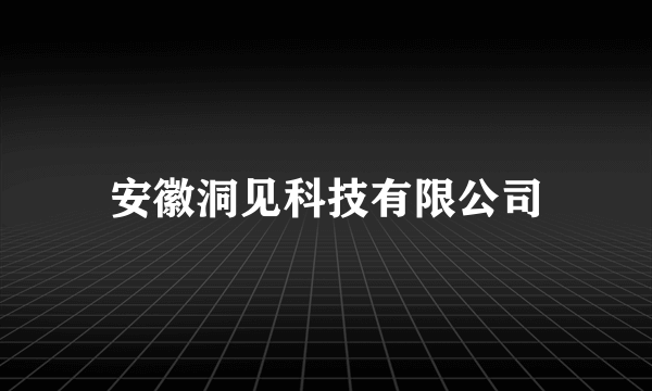 安徽洞见科技有限公司