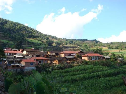 杨柘村