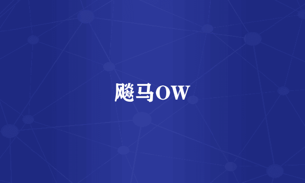 飚马OW