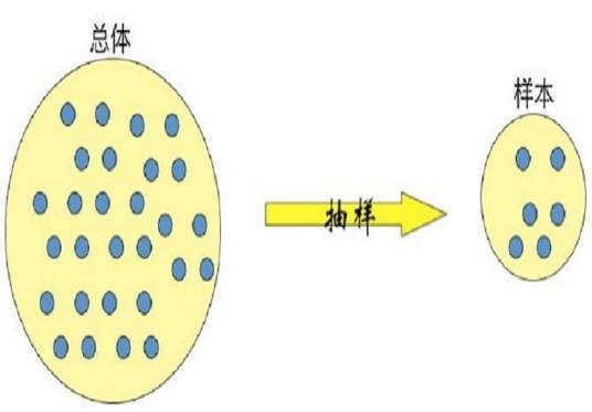 菲力浦斯