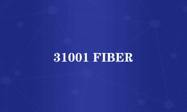 31001 FIBER