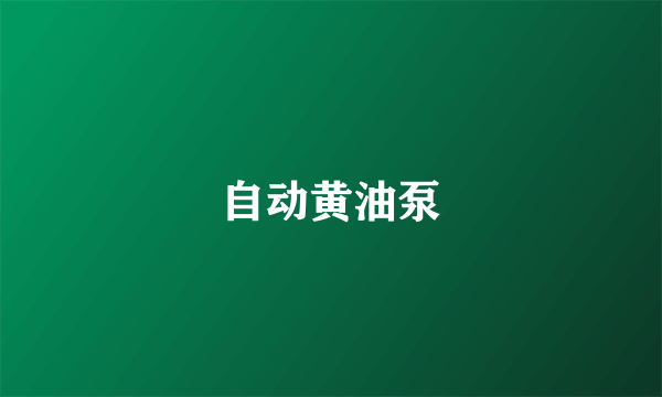 自动黄油泵