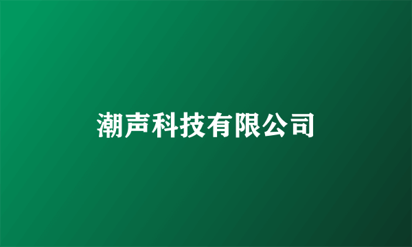 潮声科技有限公司