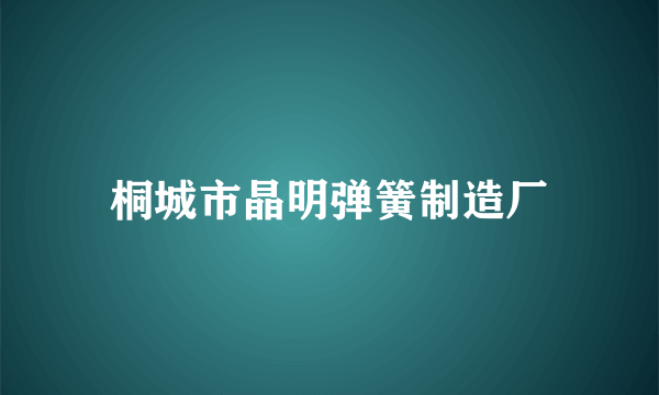 桐城市晶明弹簧制造厂