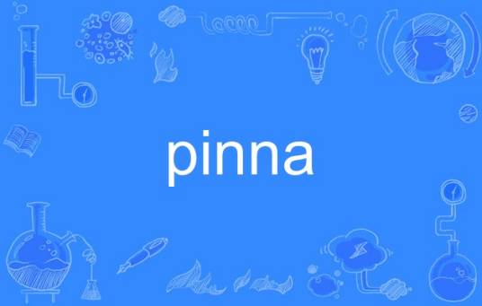 pinna（英语单词）