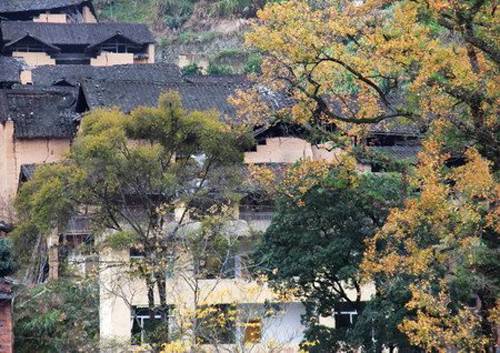 石井村（福建宁德市寿宁县斜滩镇下辖村）