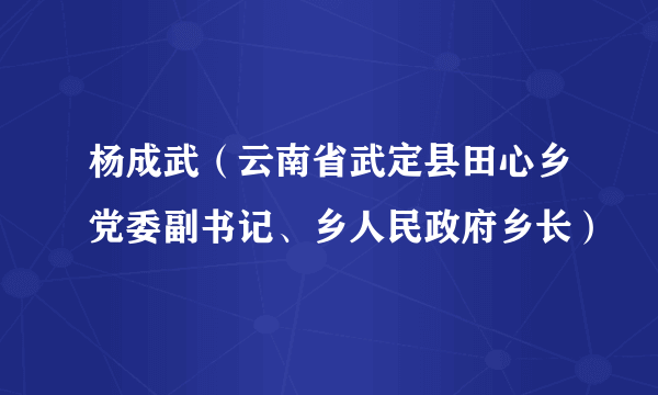 杨成武（云南省武定县田心乡党委副书记、乡人民政府乡长）