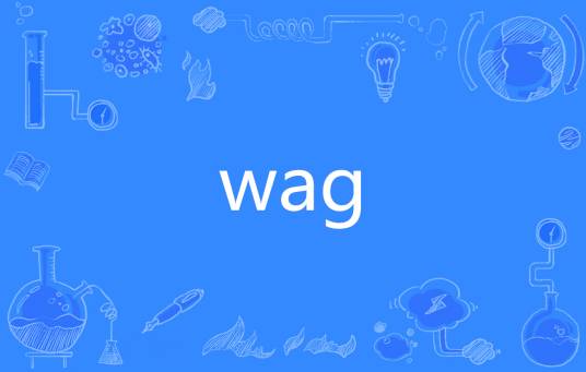 WAG（英文单词）