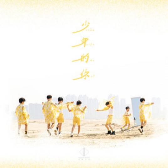 少年的你（优秀少年演唱歌曲）