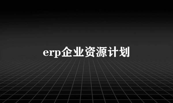 erp企业资源计划