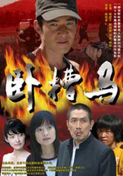 卧槽马（2009年陶明喜导演的电影）