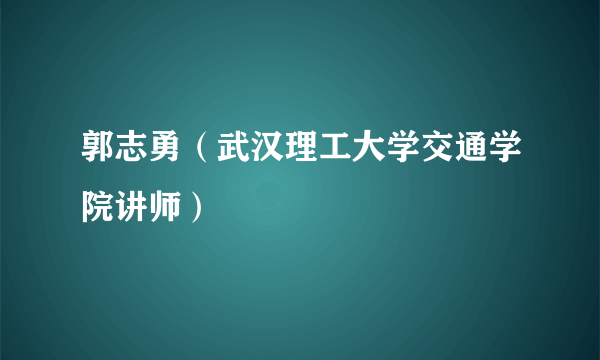郭志勇（武汉理工大学交通学院讲师）