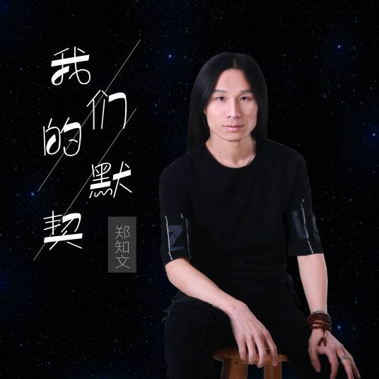 我们的默契（郑知文演唱歌曲）