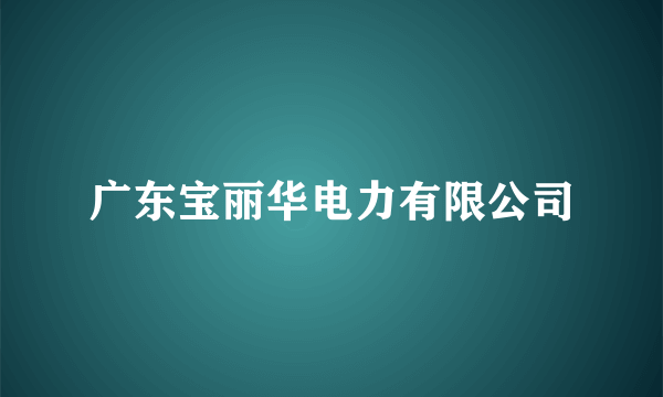 广东宝丽华电力有限公司