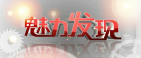 魅力发现