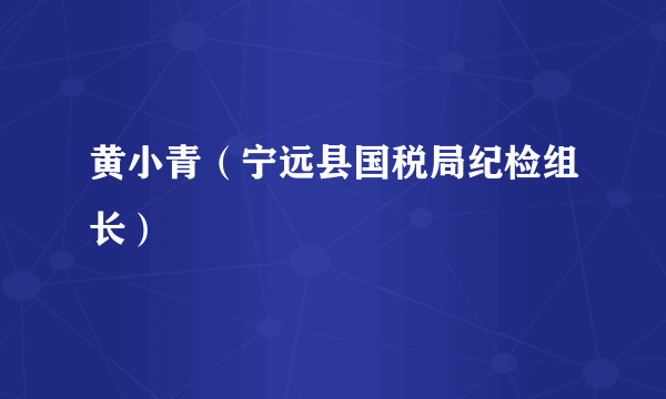 黄小青（宁远县国税局纪检组长）