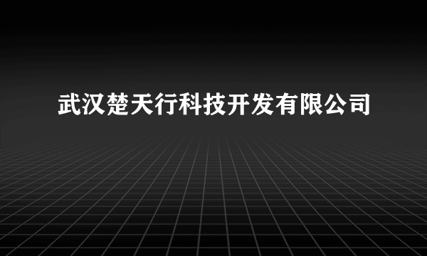 武汉楚天行科技开发有限公司