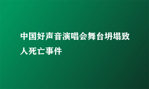 中国好声音演唱会舞台坍塌致人死亡事件