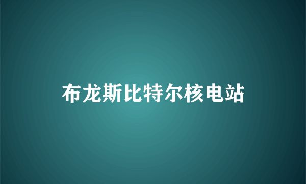 布龙斯比特尔核电站
