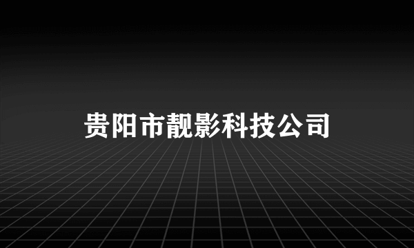 贵阳市靓影科技公司