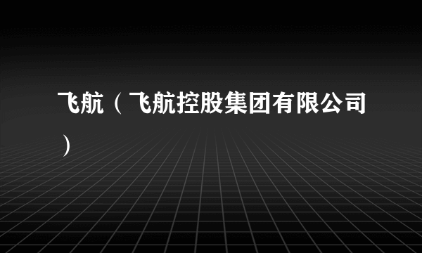飞航（飞航控股集团有限公司）