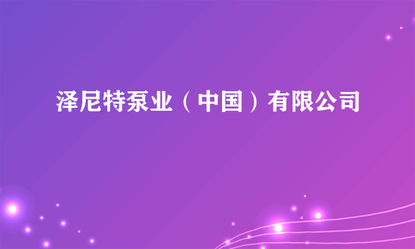 泽尼特泵业（中国）有限公司