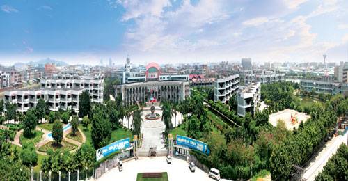 东莞市沙田东方明珠学校
