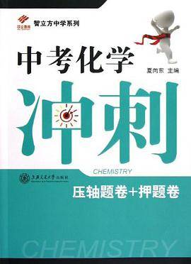 中考化学冲刺