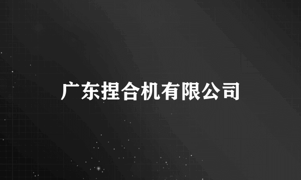 广东捏合机有限公司