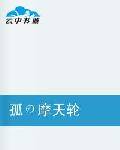 孤の摩天轮
