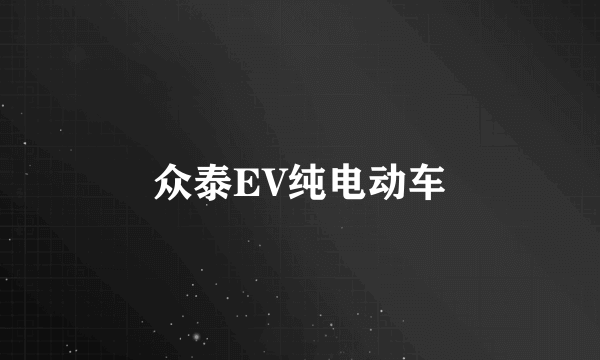 众泰EV纯电动车