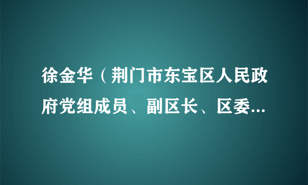 徐金华（荆门市东宝区人民政府党组成员、副区长、区委政法委第一副书记、市公安局东宝分局党委书记、局长）