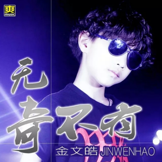 无奇不有（童星金文皓的单曲）