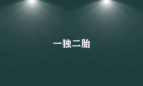 一独二胎