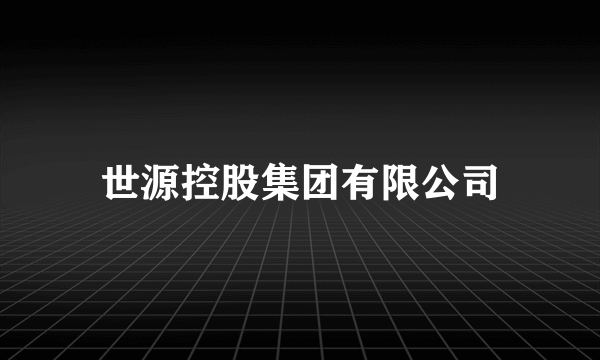 世源控股集团有限公司