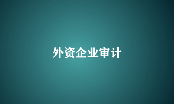 外资企业审计