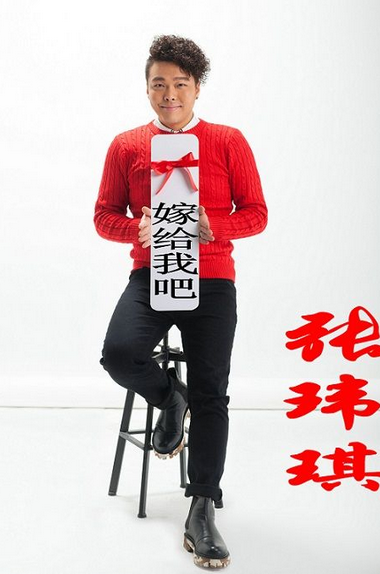 嫁给我吧（张玮琪演唱歌曲）