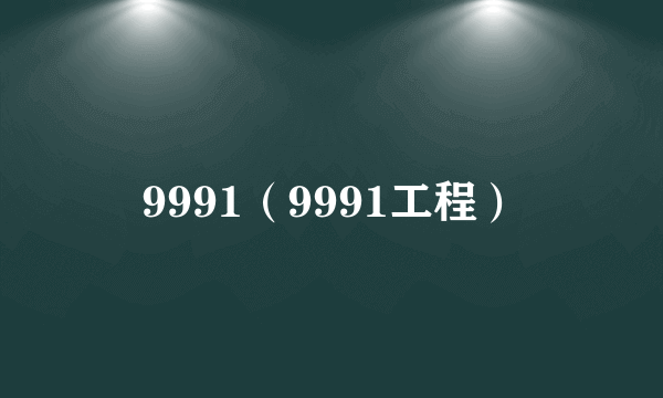 9991（9991工程）