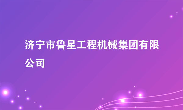 济宁市鲁星工程机械集团有限公司