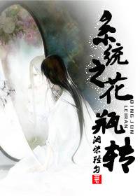 系统之花瓶传