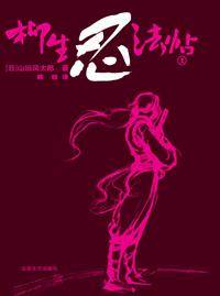 柳生忍法帖（2006年北岳文艺出版社出版的图书）