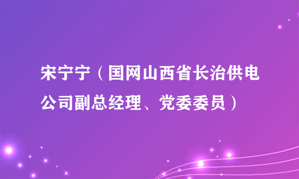 宋宁宁（国网山西省长治供电公司副总经理、党委委员）