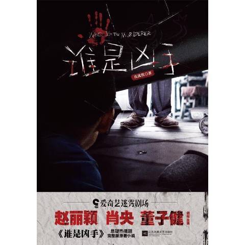 谁是凶手（2021年江苏凤凰文艺出版社出版的图书）