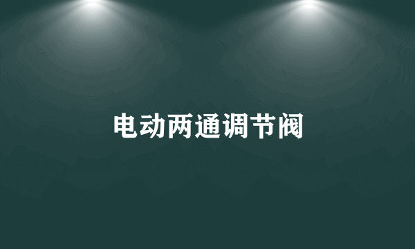 电动两通调节阀