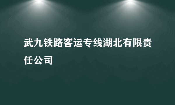 武九铁路客运专线湖北有限责任公司