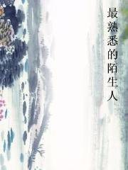 最熟悉的陌生人（网络小说）